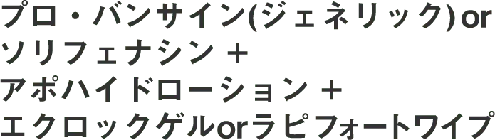 プレミアムプラン内容