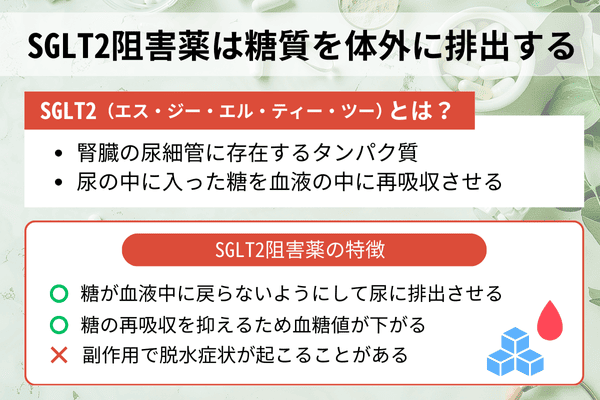 SGLT2阻害薬は糖質を体外に排出する