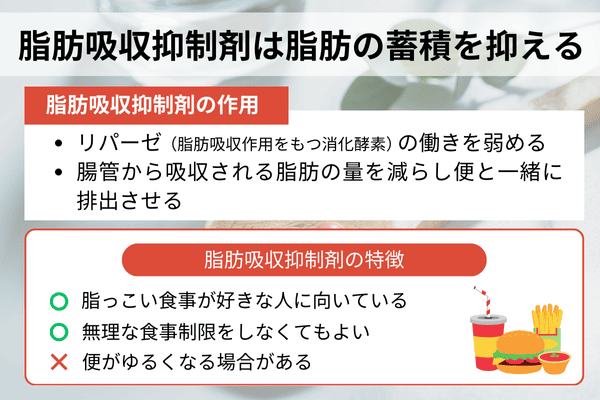 脂肪吸収抑制剤は脂肪の蓄積を抑える