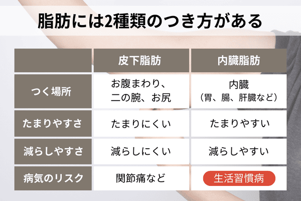 脂肪には2種類のつき方がある