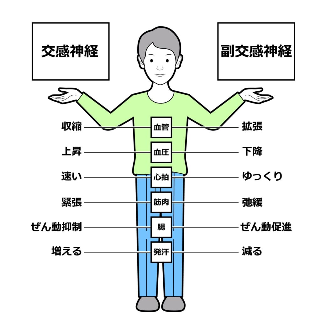自律神経の乱れ